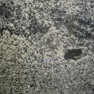N-Tiger White Granite [LM-GR-006]